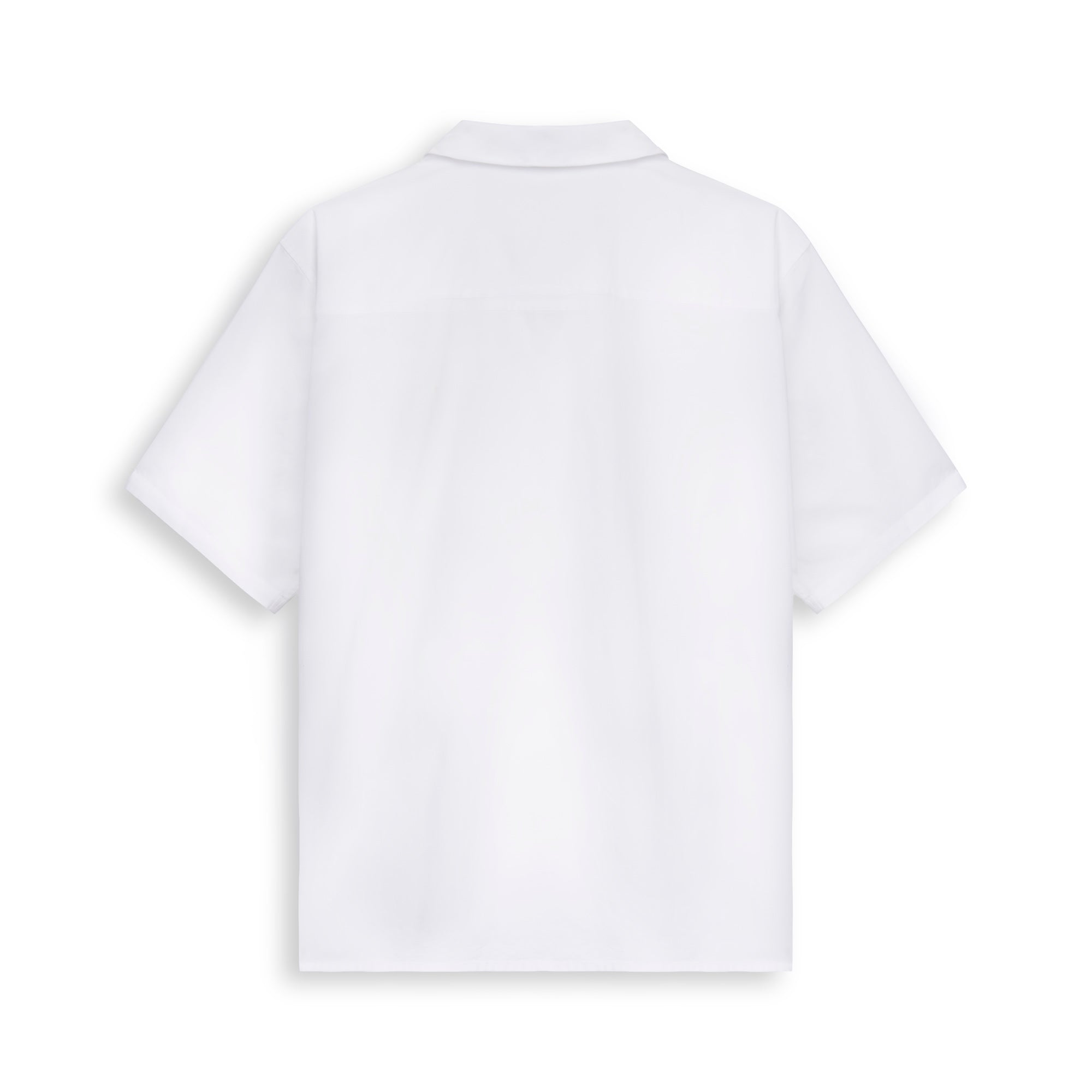 #color_white